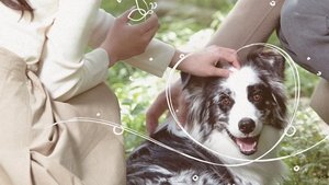 undefined Images